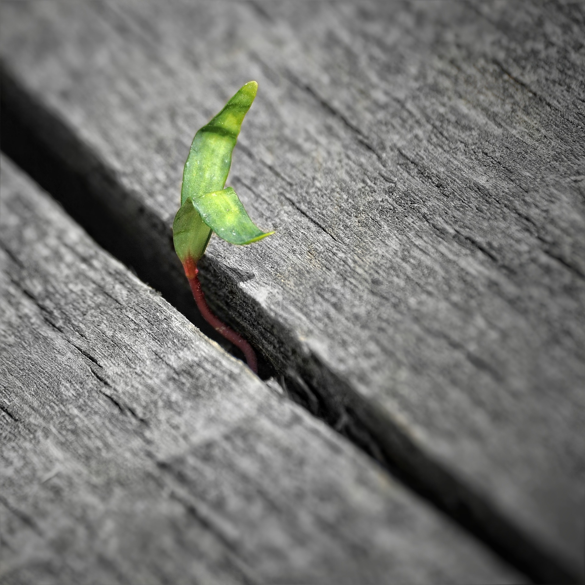 空间基因：建筑信息编码简史（三）