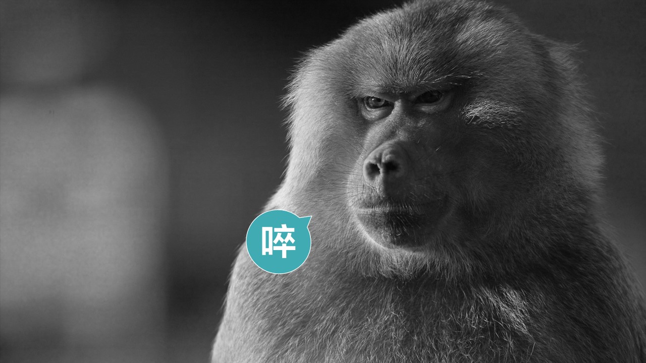 凭什么干不过写PPT的？