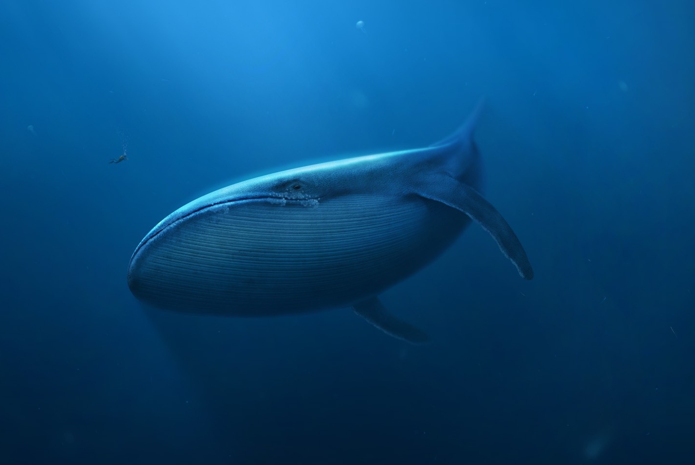 低调凶猛：Bentley这些年在忙什么？