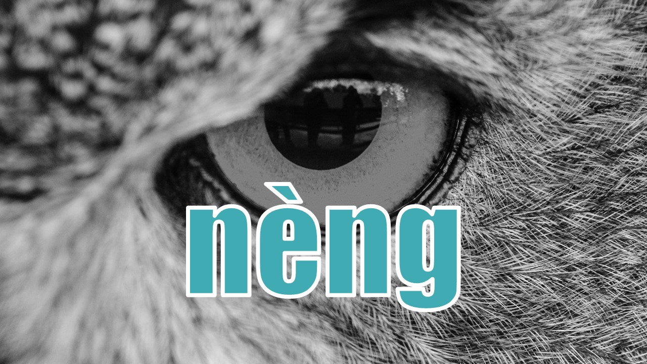 自动批量建族？nèng它！