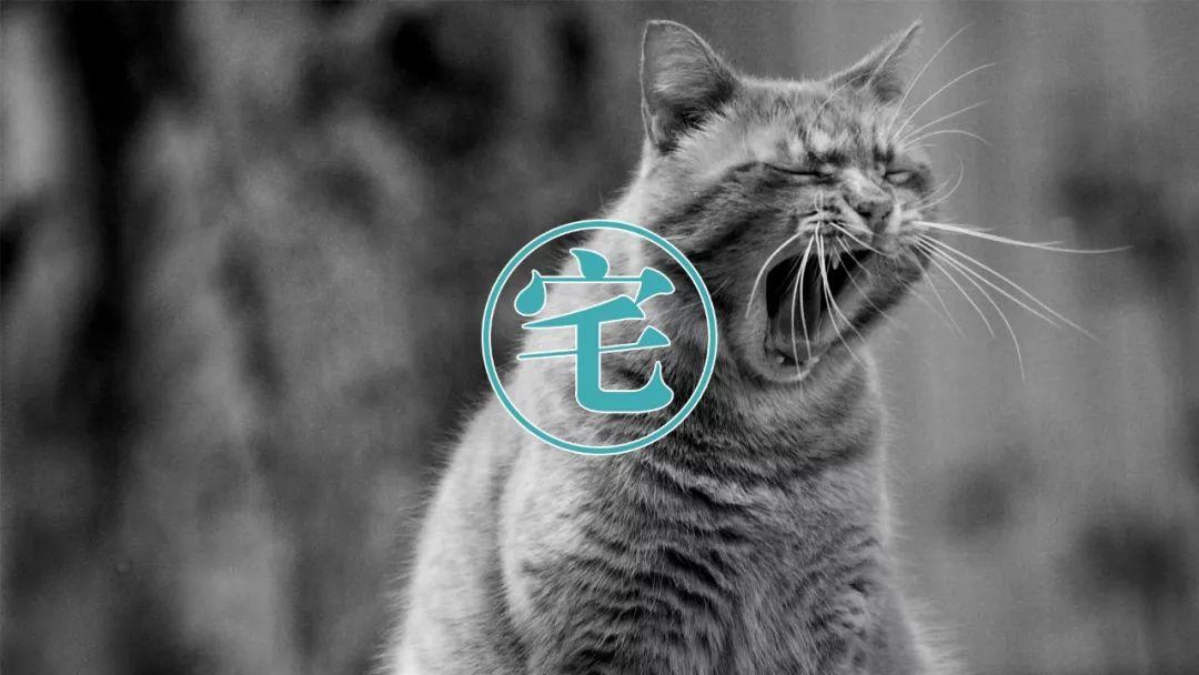 假期延长，怎样不呆成废人？