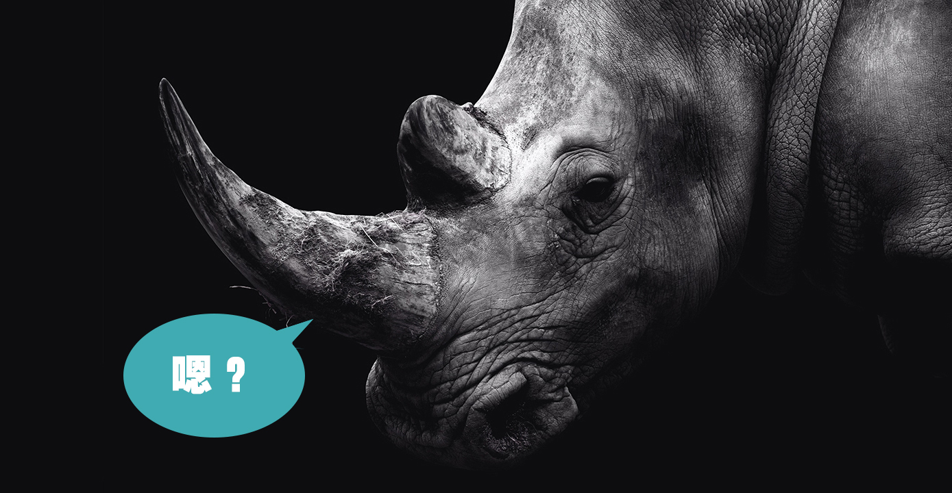 Sketchup、犀牛也能玩BIM？必须的！